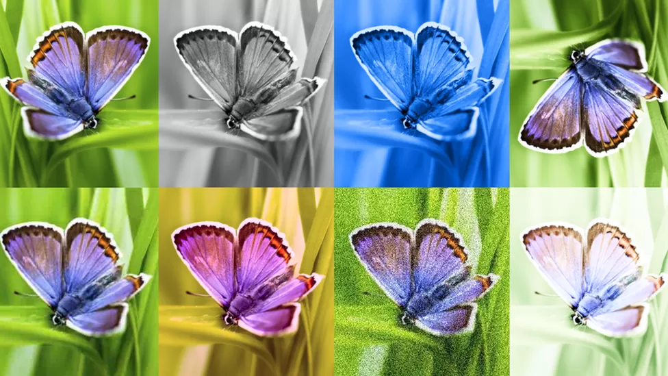 google-tests-watermark-to-identify-ai-images