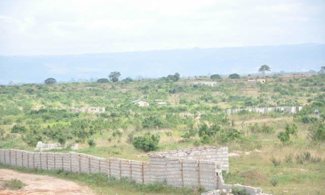 10 persons in court for alleged landguard activities