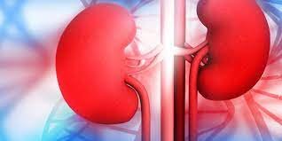 rise-in-kidney-disease-‘worrying’-–-dr-sampene