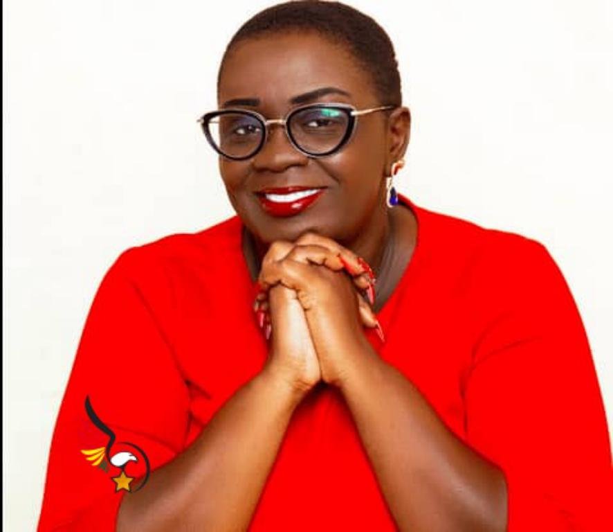 ‘mahama-seeking-to-use-2016-template-to-solve-2024-problems’-–-ama-daaku