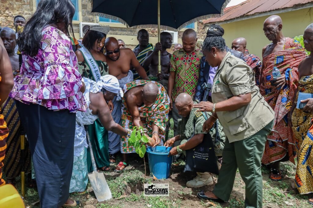 akwamuhene,-odeneho-kwafo-akoto-iii,-launches-1million-tree-planting-campaign