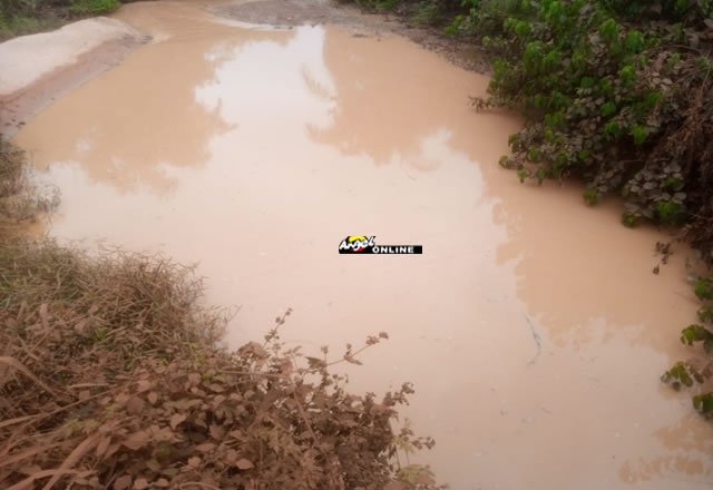 Galamsey menace: Children most affected – Divine Nkrumah